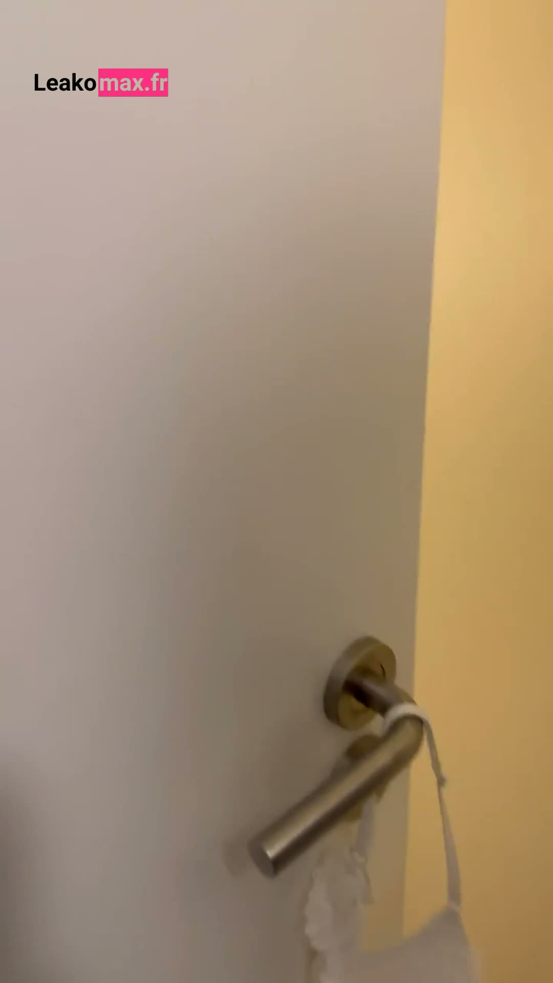 leakomax.fr