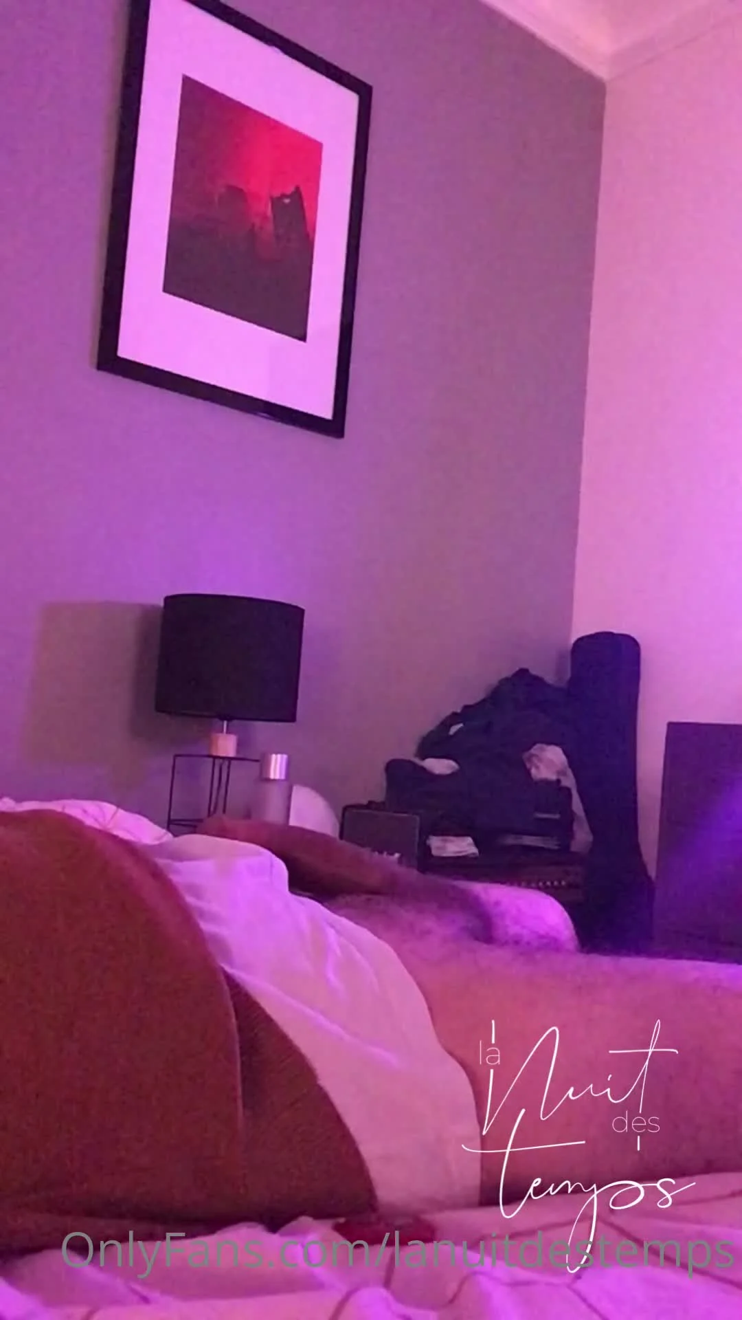 Lanuitdestemps Video Sextape Leaked #26