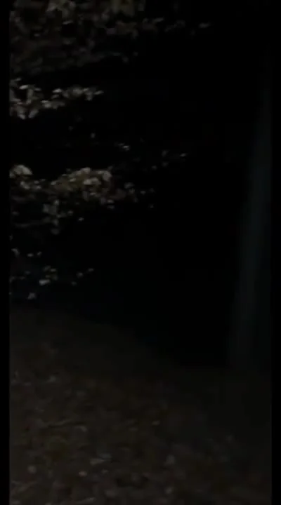 Lea Mary Nude Video Leak #41