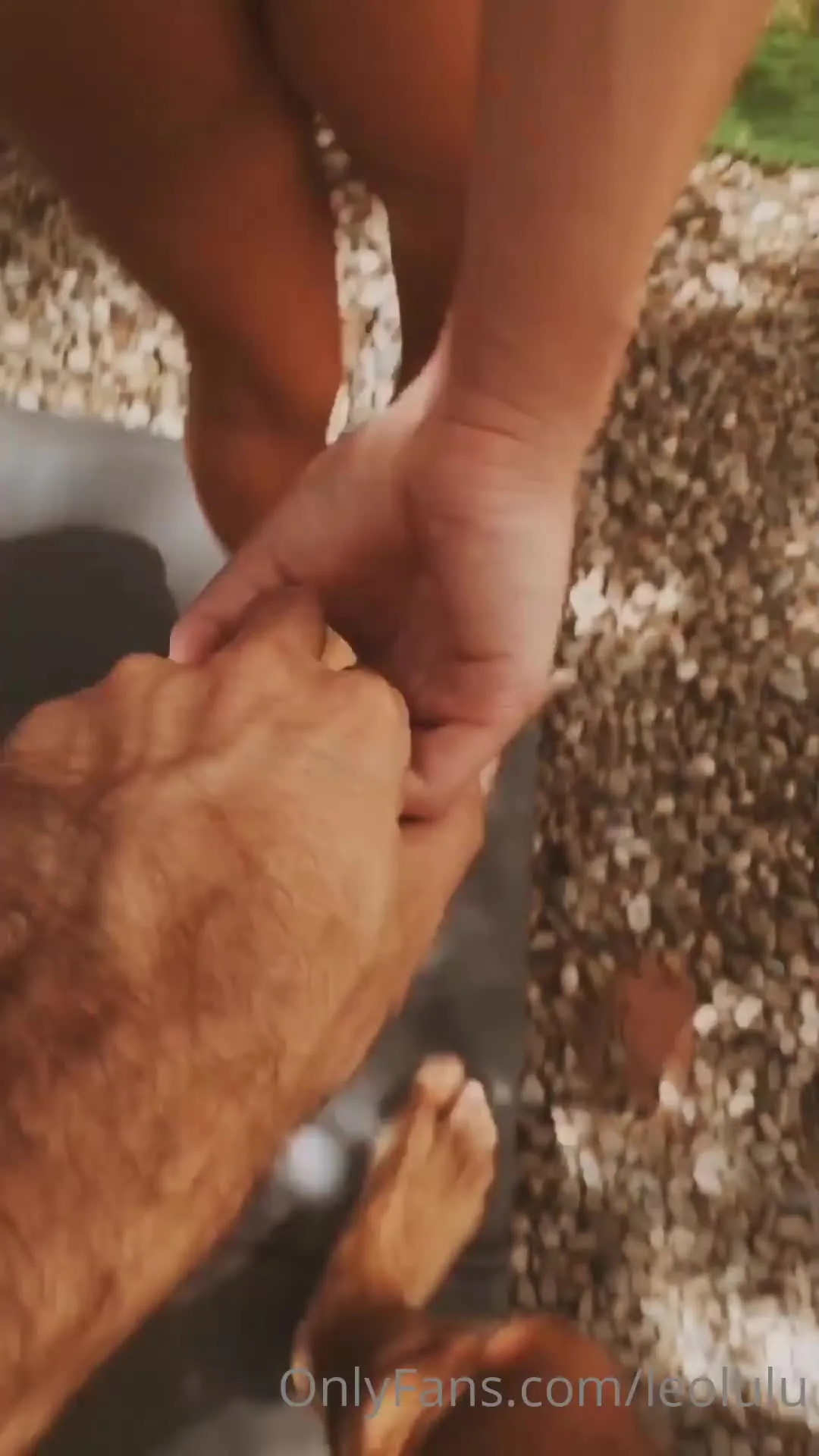Leolulu Porn Video Leaks #42