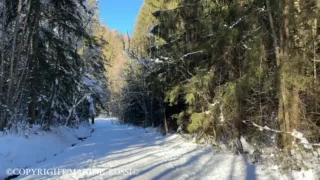 Lia Spicy Leak Sextape #1