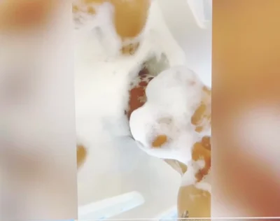 Astrid Nelsia Nude Video Leaks #7836