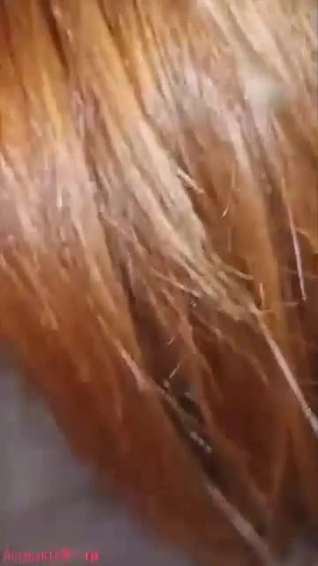 Giulia Snz Sextape Video Leaked #9341