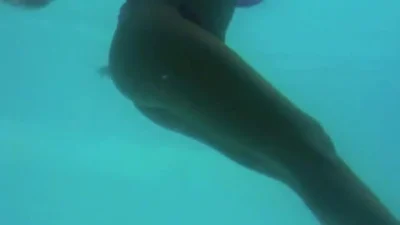 Miss Amal Sextape Video Leaked #5801