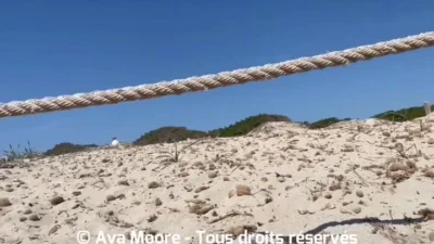 Avamoore Video Leak Nude #6600