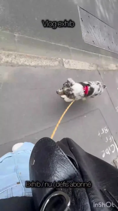 Pink Venus Nude Video Leak #7513