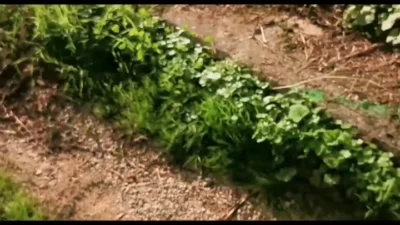 Anna Divina Leak Sextape #6650